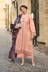 Rang Rasiya Embroidered Karandi Suit With Velvel Plush Shawl Unstitched 3 Piece D-03 Latte – Winter Collection
