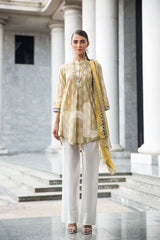 41907225-Blended Crinkle Chiffon & Slub Lawn – Brown Printed 2PC