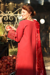 Rang Rasiya Embroidered Karandi Suit With Velvet Plush Shawl Unstitched 3 Piece D-02 Cold Brew – Winter Collection