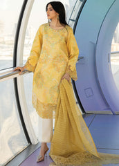 Carnation by Rang Rasiya Embroidered Lawn Suits Unstitched 3 Piece RR25CS D-03 Liana - Summer Collection