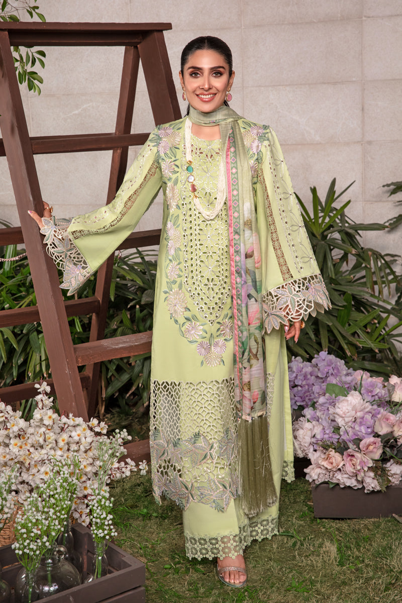 Rang Rasiya Embroidered Lawn Suits Unstitched 3 Piece RR24PE D-10 Geeti - Summer Eid Collection