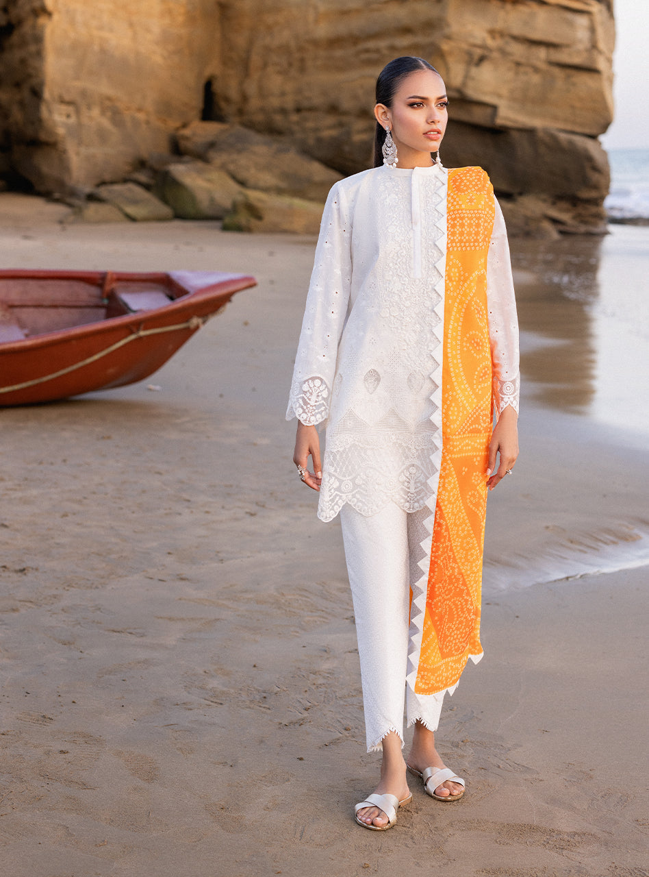 Zainab Chottani Chikankari Lawn Suits Unstitched 3 Piece ZC24CL D-3B Chunari