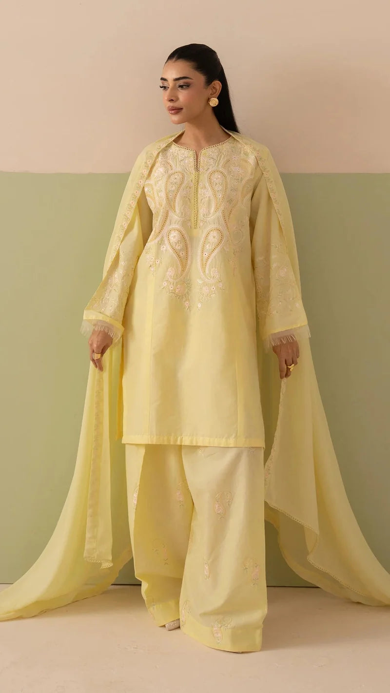 Butter Emb Farshi Shalwar 3pc