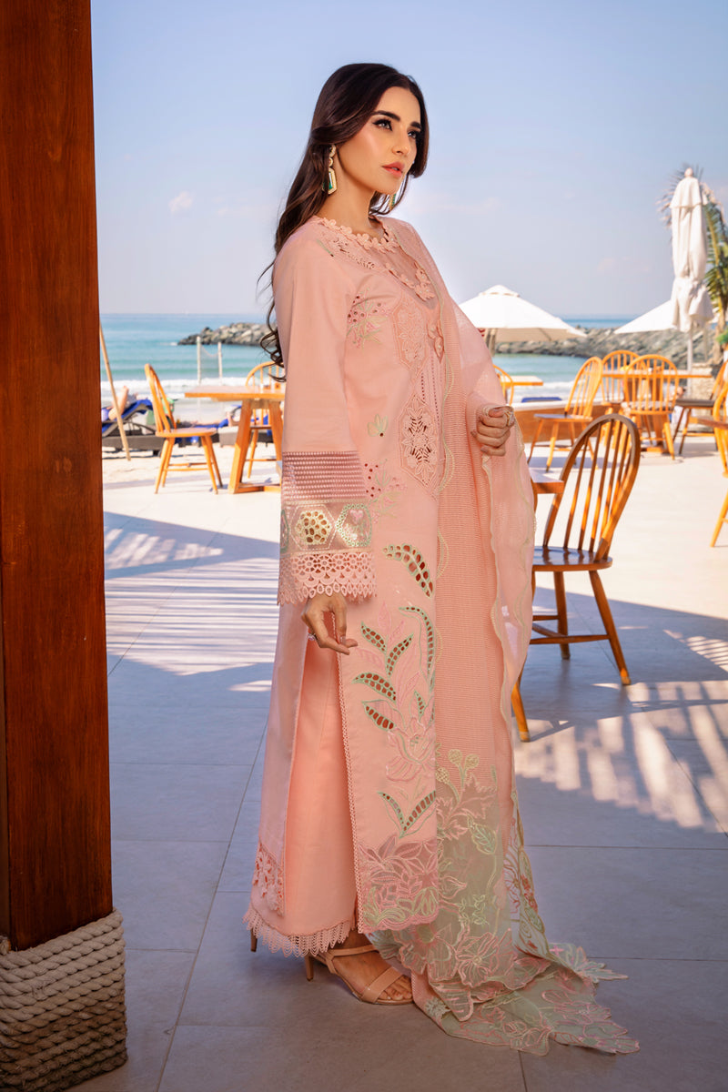 Rang Rasiya Embroidered Lawn Suits Unstitched 3 Piece RR25PS D-08 Bareeha – Summer Collection