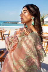 Rang Rasiya Embroidered Lawn Suits Unstitched 3 Piece RR25PS D-08 Bareeha – Summer Collection