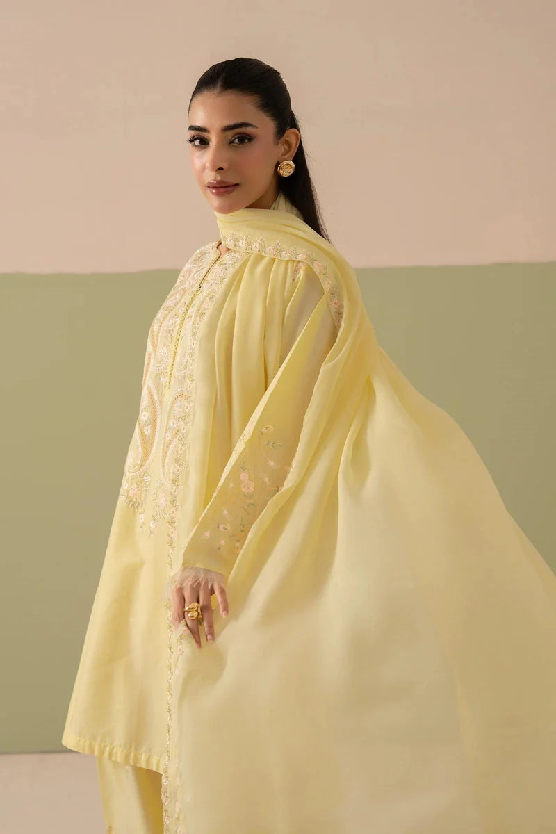 Butter Emb Farshi Shalwar 3pc
