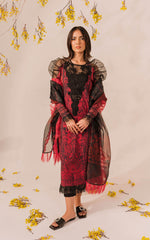 Asifa & Nabeel Meraki Summer Collection'23 - MKL-11-