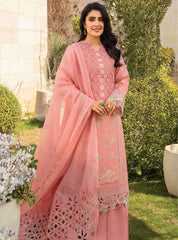 Rang Rasiya Embroidered Lawn Suits Unstitched 3 Piece RR24PE D-07 Parisa - Summer Eid Collection!